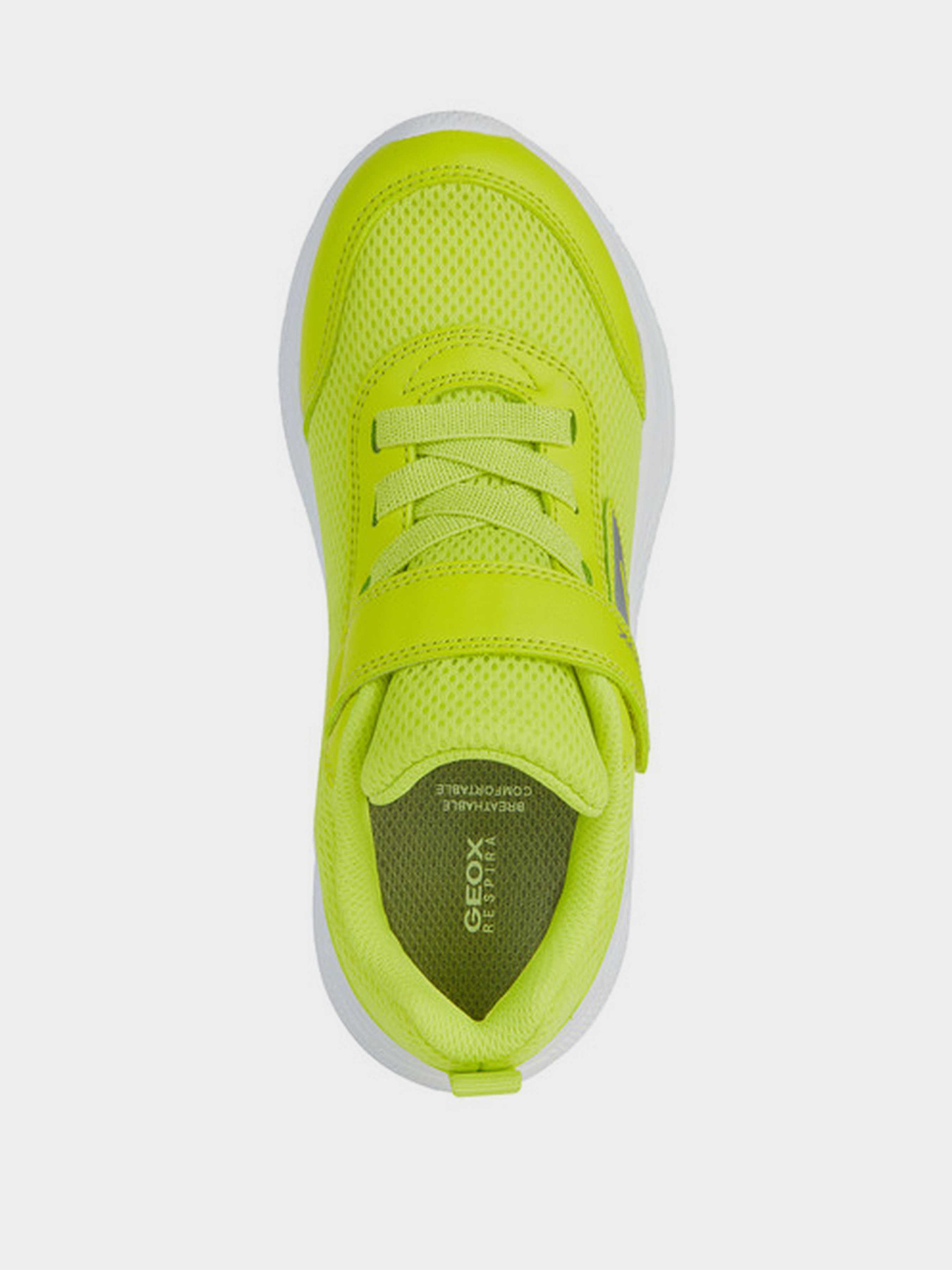 Кроссовки Geox J Sprintye Boy модель J36GBA-01454-C3008 Фото