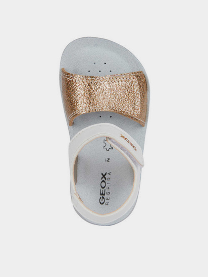 Сандалії Geox B Sandal Lightfloppy модель B455TB-054AJ-C0232 — фото 4 - INTERTOP