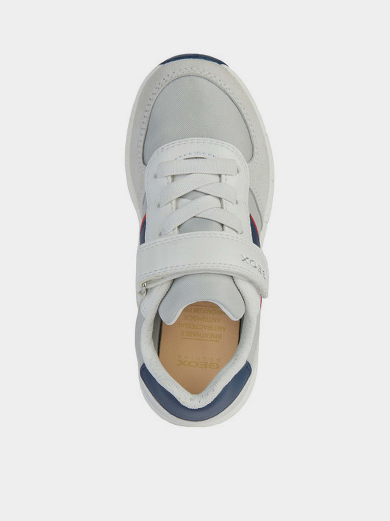 Кроссовки Geox J Alben Boy модель J459EA-0FU54-C0899 Фото