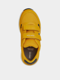 Кросівки повсякденні Geox J Alben Boy модель J459EC-01454-C2PF4 Кросівки повсякденні Geox J Alben Boy модель J459EC-01454-C2PF4 Фото