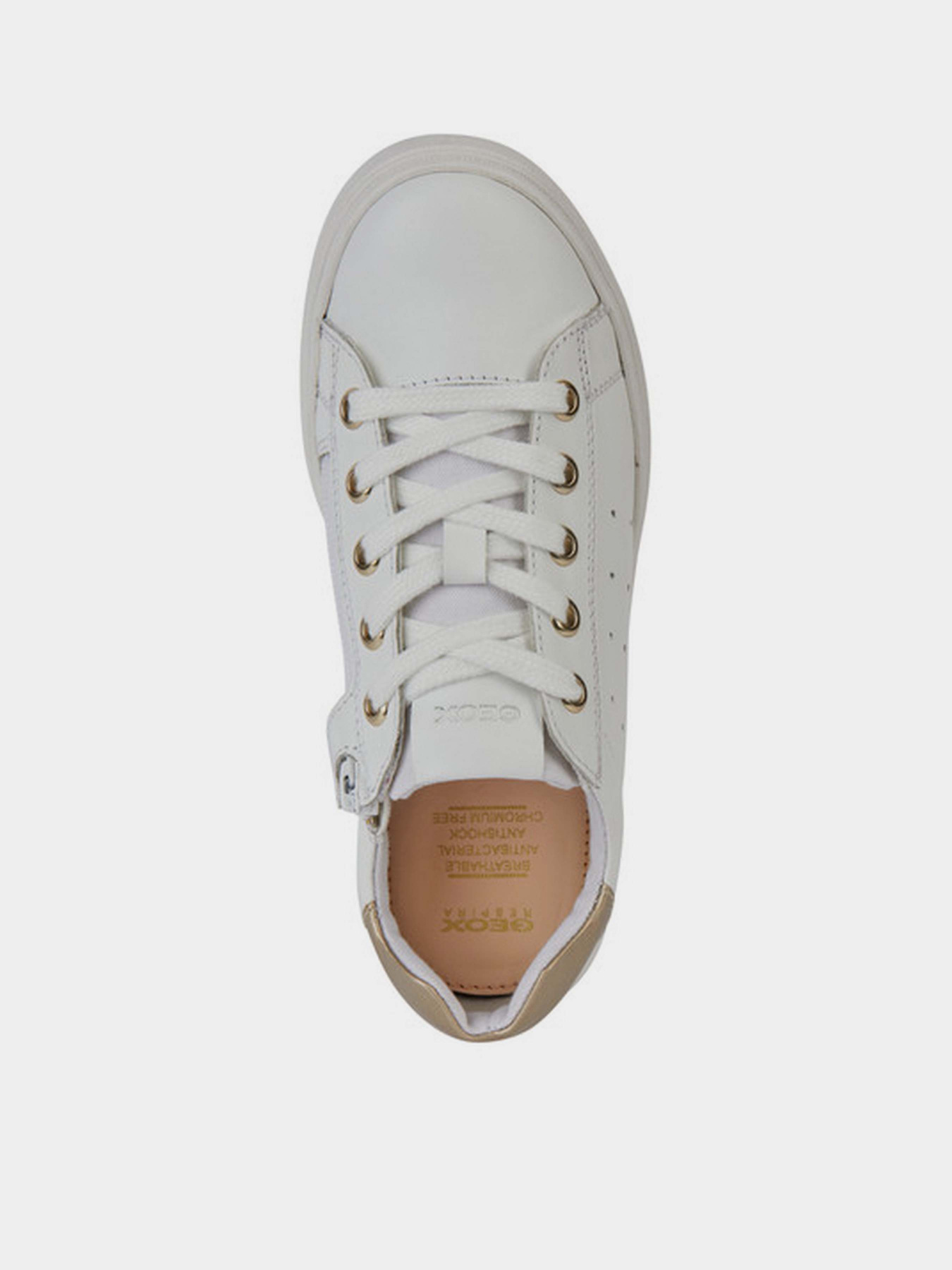 Кеды низкие Geox Nashik модель J4586B-00085-C1000 Фото