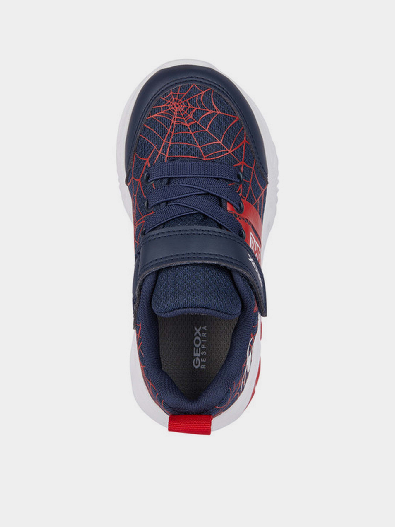 Кроссовки повседневные Geox J Assister Boy модель J45DZD-01454-C4244 Фото