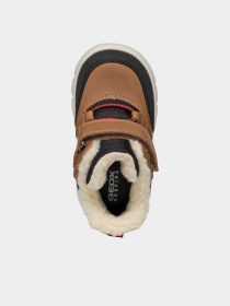 Черевики Geox Willaboom модель B365BC-0ME22-C6777 Фото