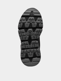 Ботинки Geox Flexyper Plus модель J46LCA-0FU50-C0005 Фото