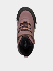 Черевики Geox Trekkyup модель J46M7A-0MEFU-C8007 Фото