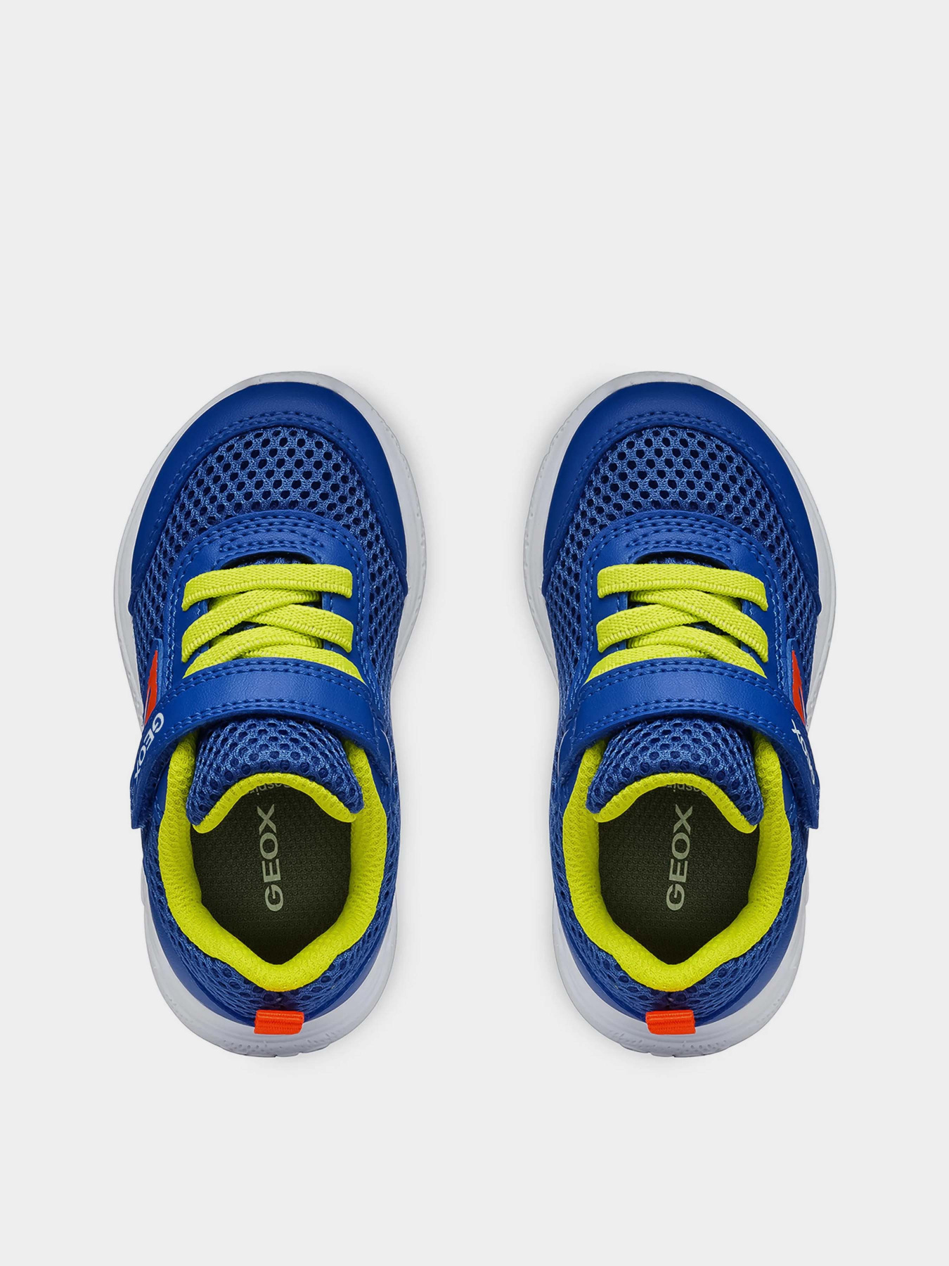 Кроссовки повседневные Geox Sprintye модель B454UC-01454-C0833 Кроссовки повседневные Geox Sprintye модель B454UC-01454-C0833 Фото