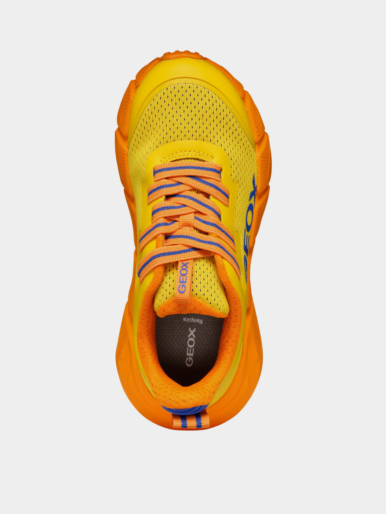 Кросівки повсякденні Geox Flexyper Fast модель J46N1A-0149J-C0578 Фото