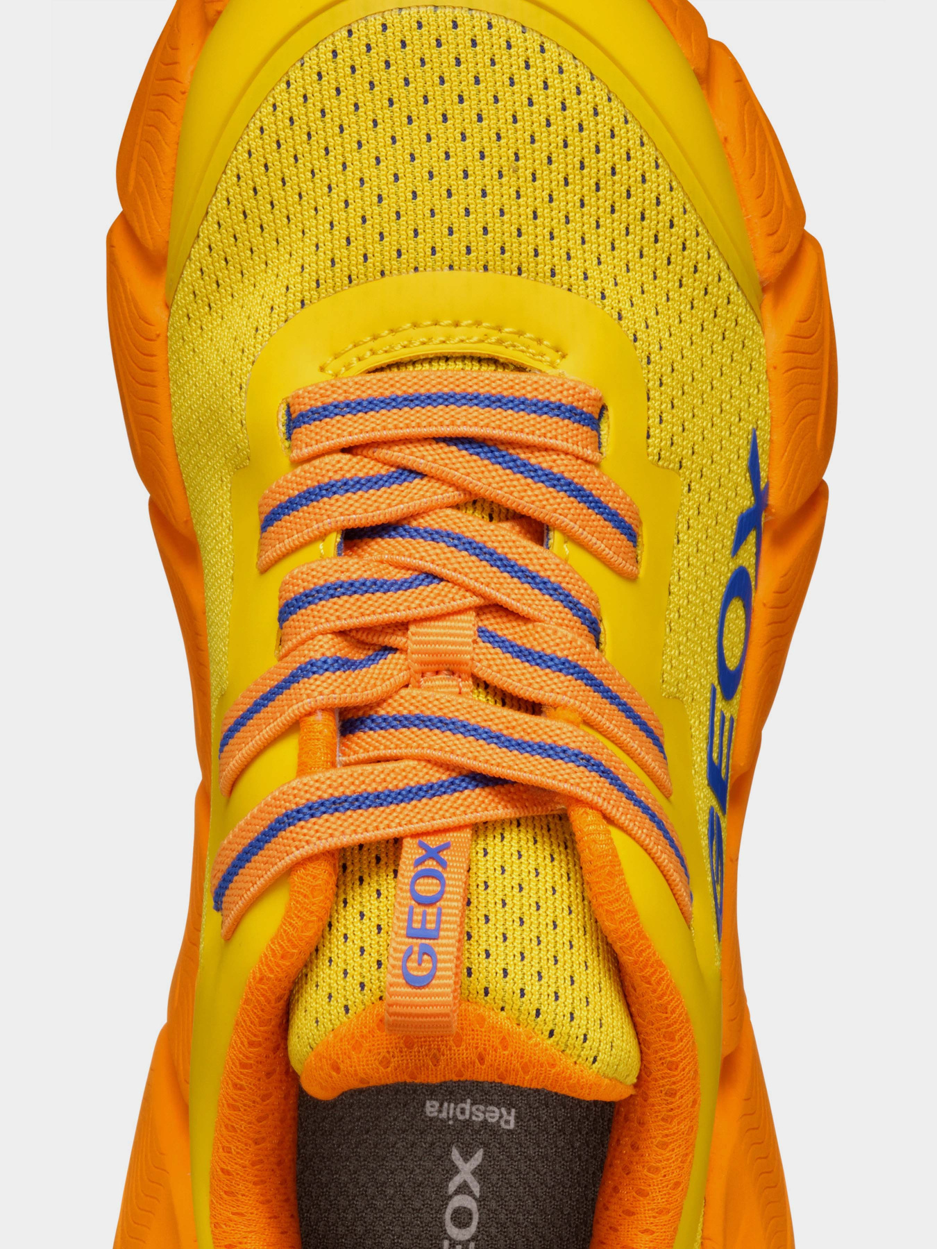 Кросівки повсякденні Geox Flexyper Fast модель J46N1A-0149J-C0578 Фото