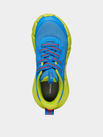 Кросівки повсякденні Geox Flexyper Fast модель J46N1A-0149J-C4344 Фото