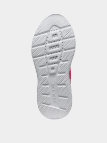 Кросівки Geox Sprintye модель J45FWA-01450-C8002 Фото