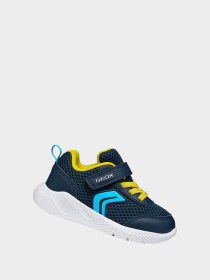 Geox модель B454UC-01454-C0657 Фото