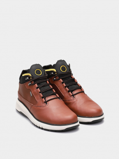 Черевики Geox Aerantis Abx модель U04APA-046FE-C6003 — фото 3 - INTERTOP