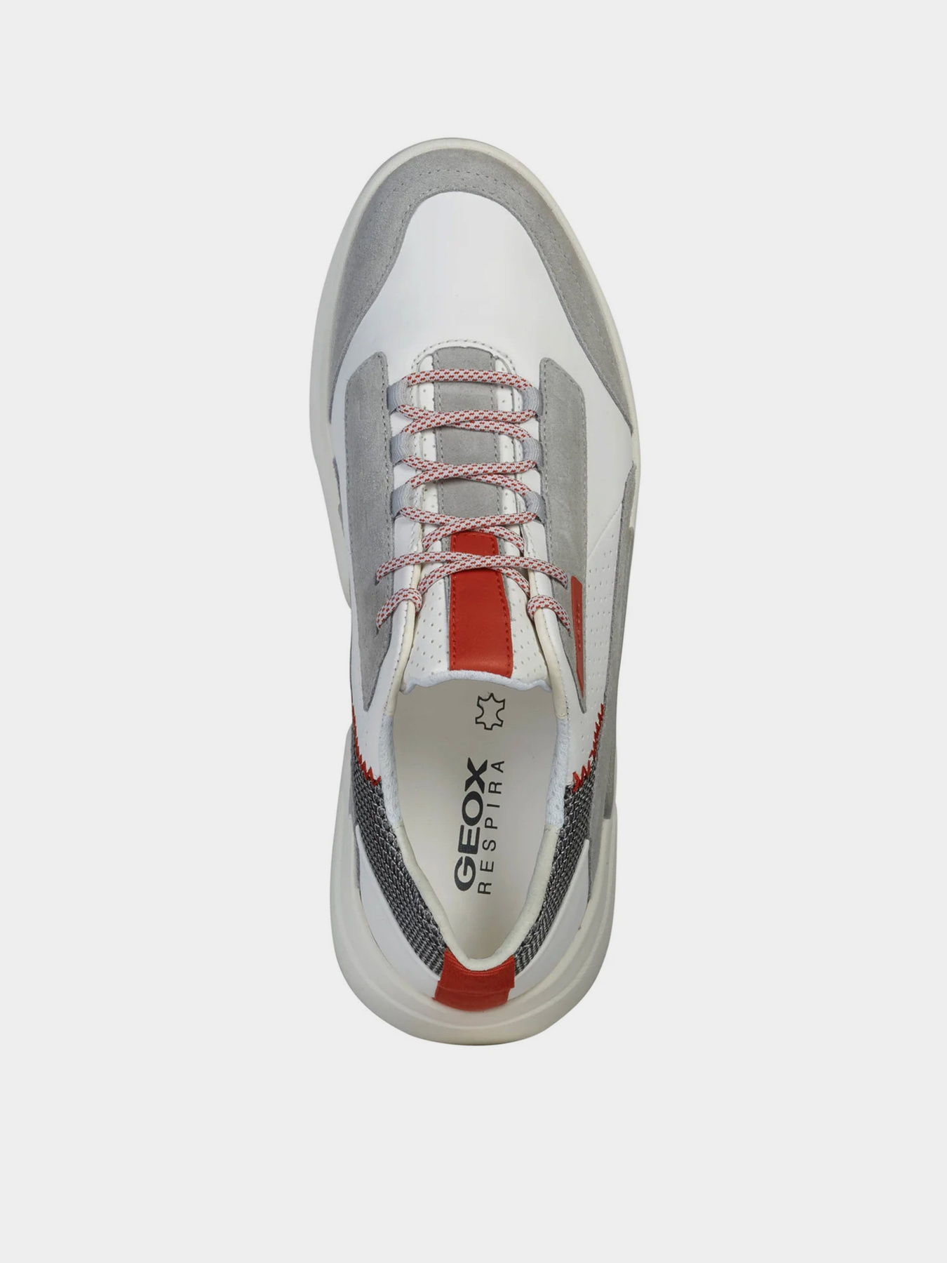 Кросівки Geox Smoother модель U04AFA-0GV22-C1236 Фото