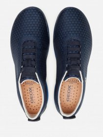 Кросівки Geox Nebula модель U04D7E-000KH-C4264 Фото