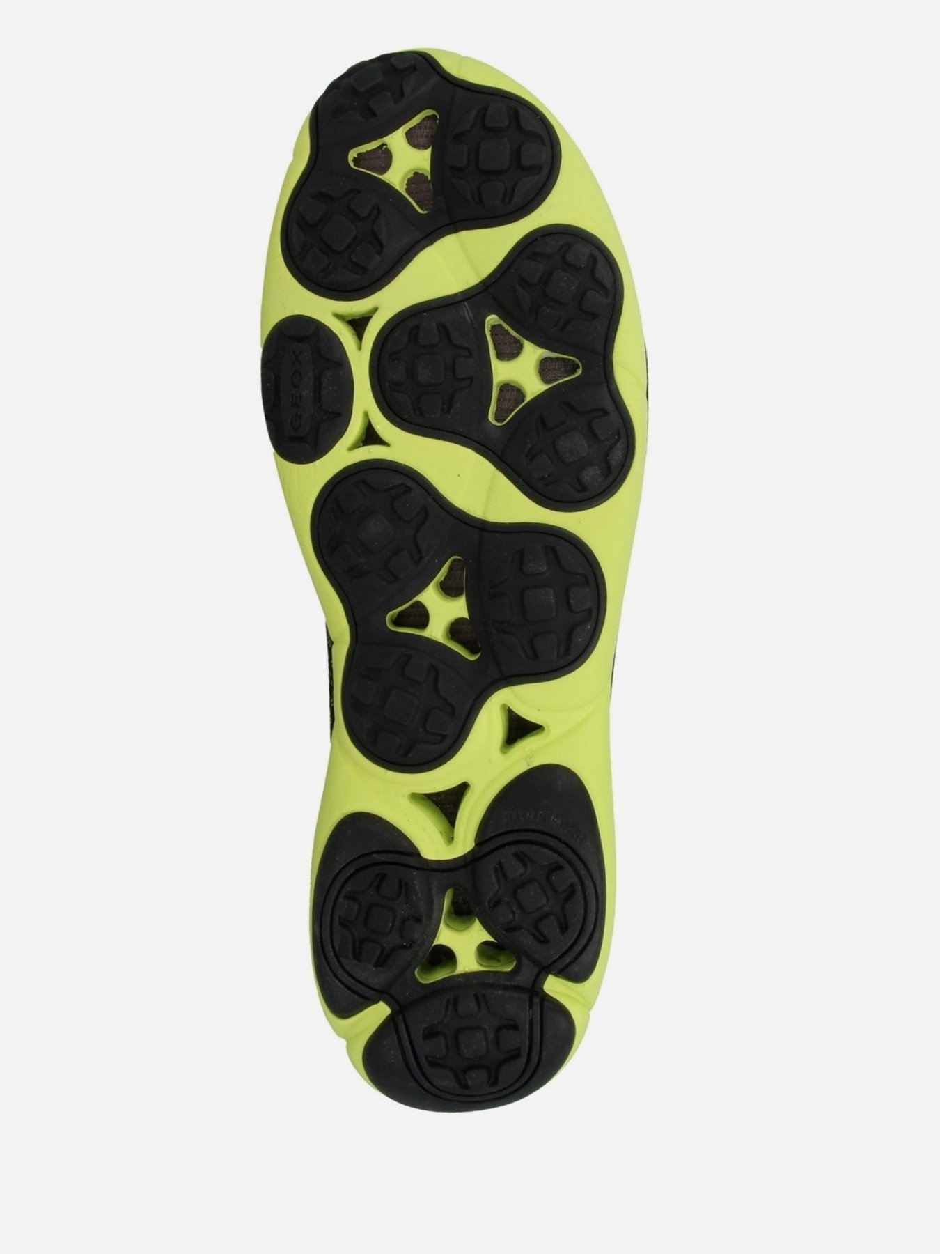 Кросівки Geox Nebula модель U04D7E-000KH-C9299 Фото