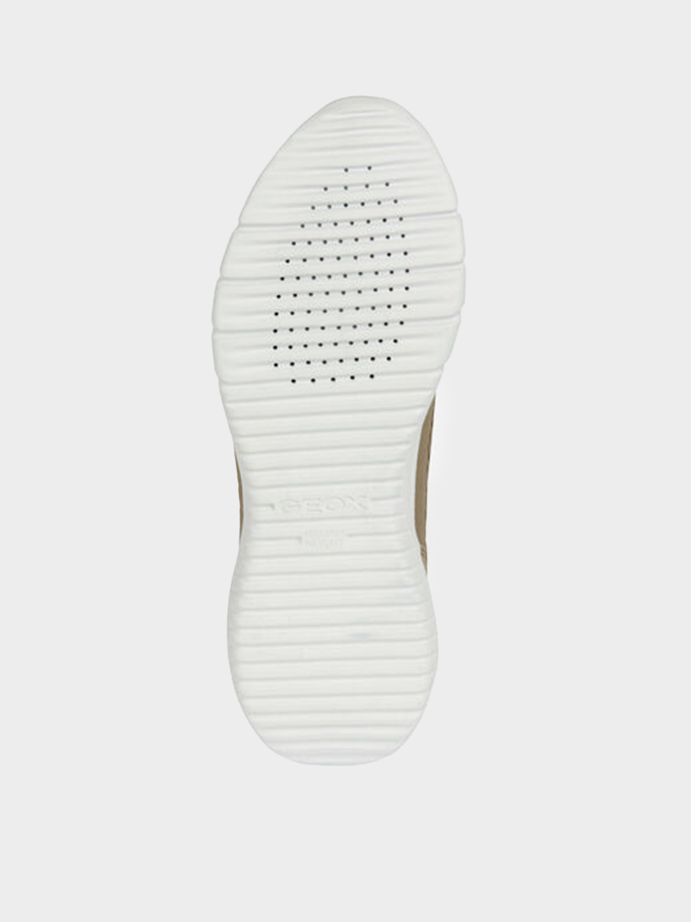 Кроссовки Geox Monreale модель U15BVB-0006K-C5004 Фото