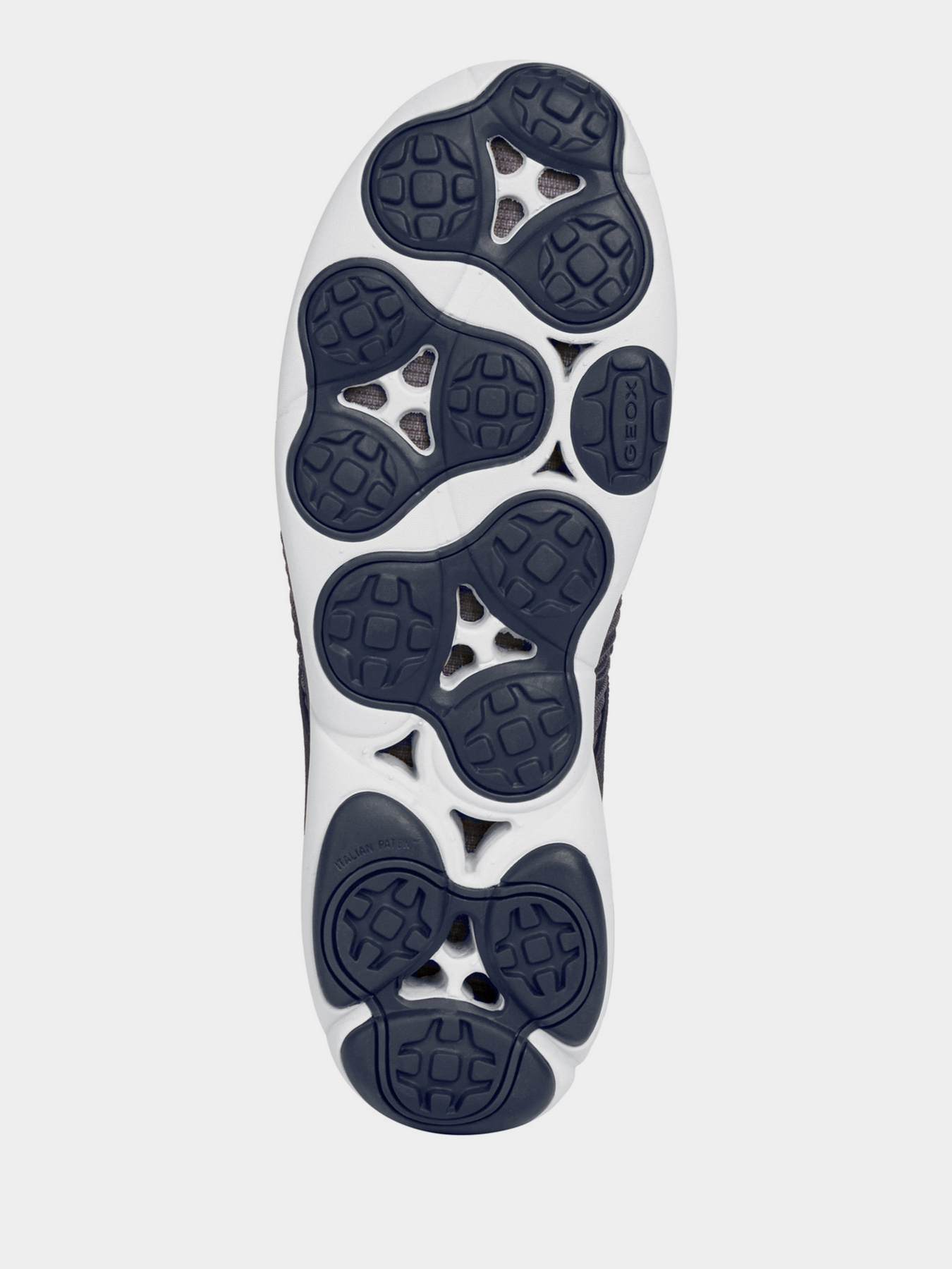 Кросівки Geox Nebula модель U15D7D-06K85-C4585 Фото