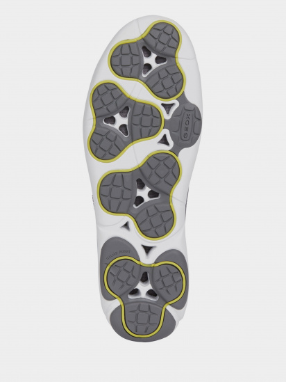 Напівчеревики Geox Nebula модель U948FA-00085-C4002 — фото 7 - INTERTOP
