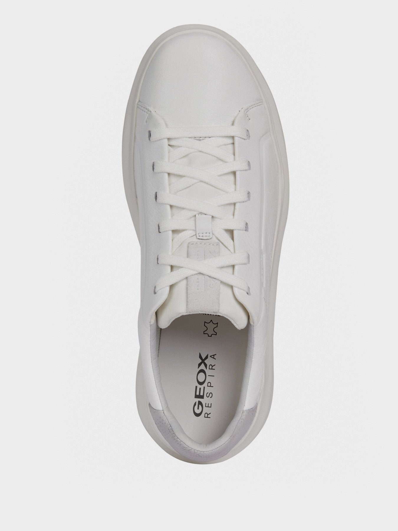 Кеди низькі Geox U Maestrale модель U15ATB-085PZ-C1236 Фото