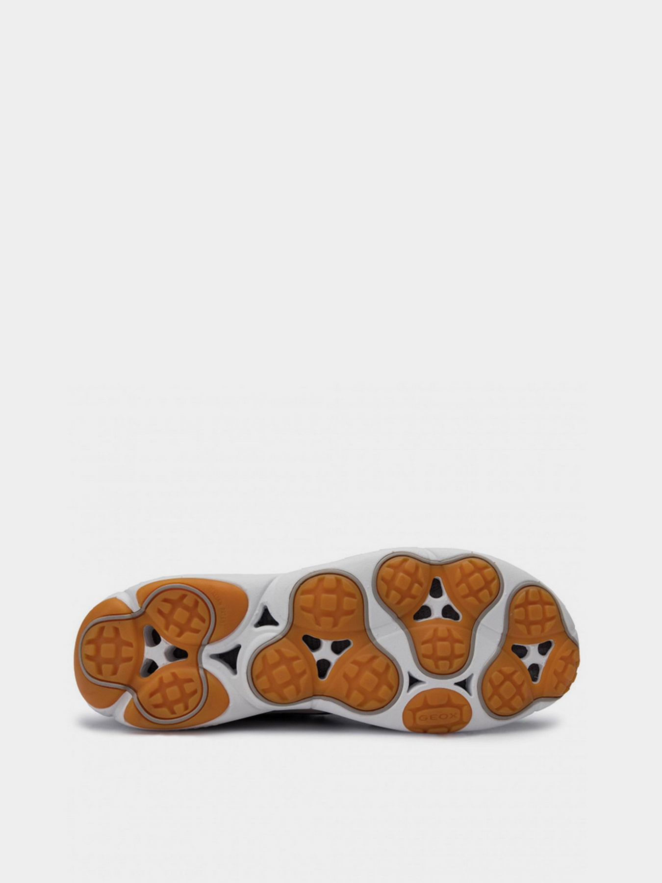 Кросівки повсякденні Geox Nebula модель U94D7C-01122-C4K5Y Фото