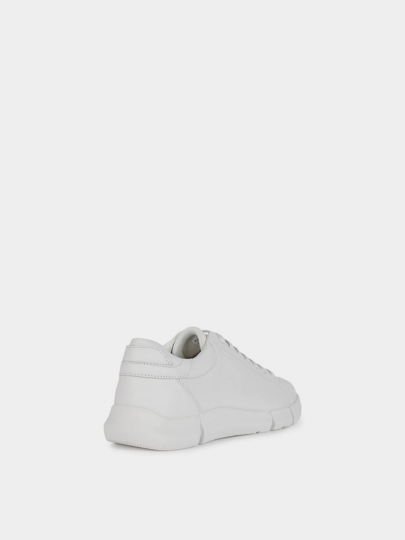 Кеды низкие Geox Adacter модель U26FFA-00085-C1000 Фото