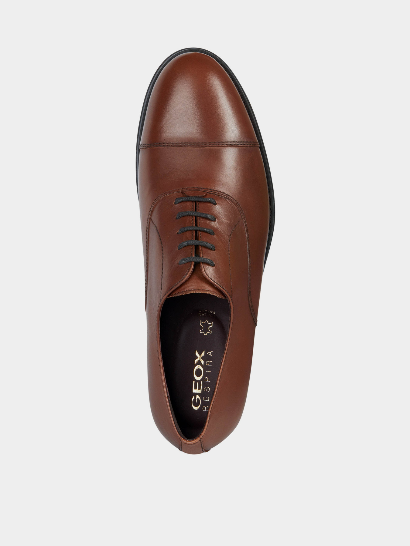 Туфлі Geox модель U36FXA-00043-C6002 Фото