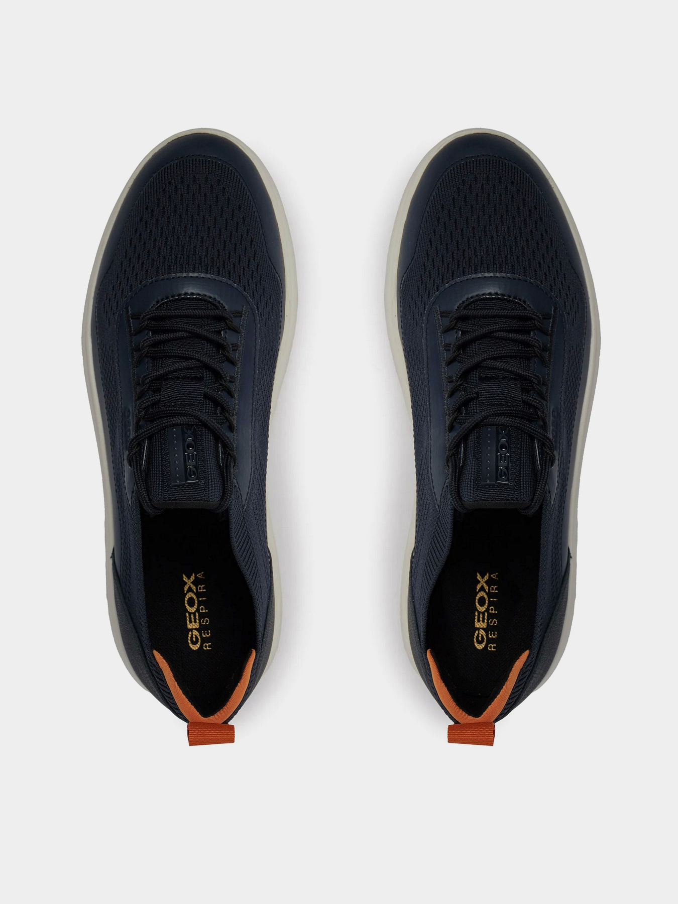 Кросівки Geox Spherica модель U35BYA-0006K-C4021 Фото