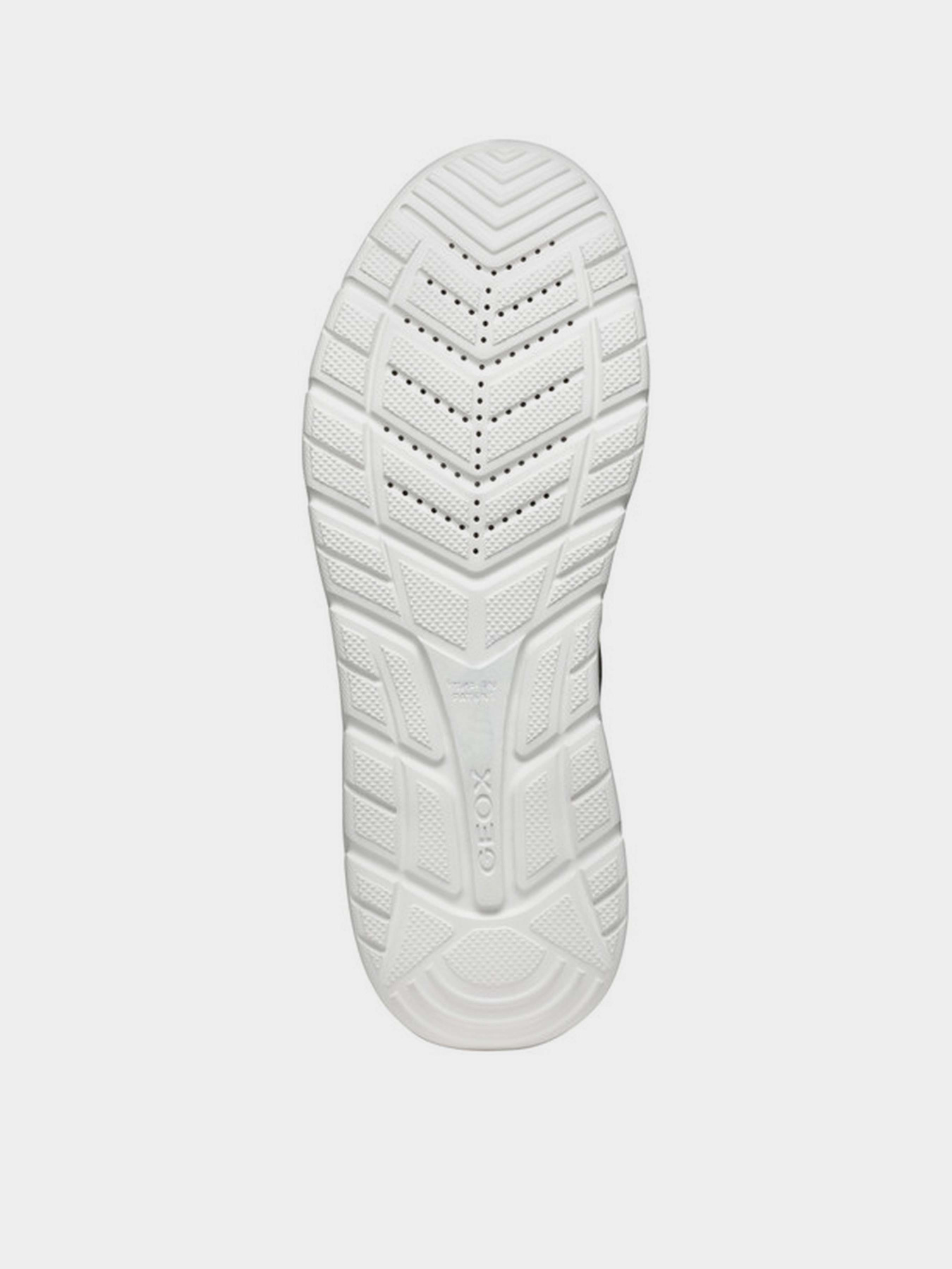 Кроссовки Geox U Portello модель U45E1B-0EK11-C9002 Фото