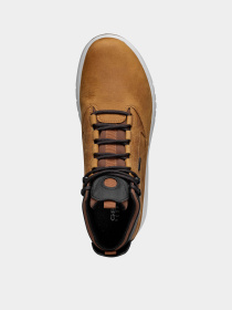 Ботинки Geox Aerantis модель U04APA-000FF-C2112 Фото