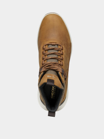 Черевики Geox Pg1x модель U46E0C-0FF11-C6001 Фото