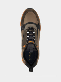 Кроссовки Geox Spherica Ecub-4 модель U46HRA-0FU22-C0623 Фото