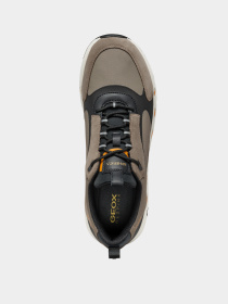 Кроссовки повседневные Geox Spherica Ecub-4 модель U46HRA-0FU22-C1381 Кроссовки повседневные Geox Spherica Ecub-4 модель U46HRA-0FU22-C1381 Фото