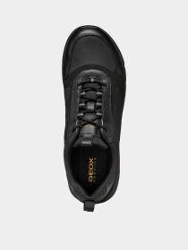 Кросівки повсякденні Geox Spherica Ecub-4 модель U46HRA-0FU85-C9999 Фото