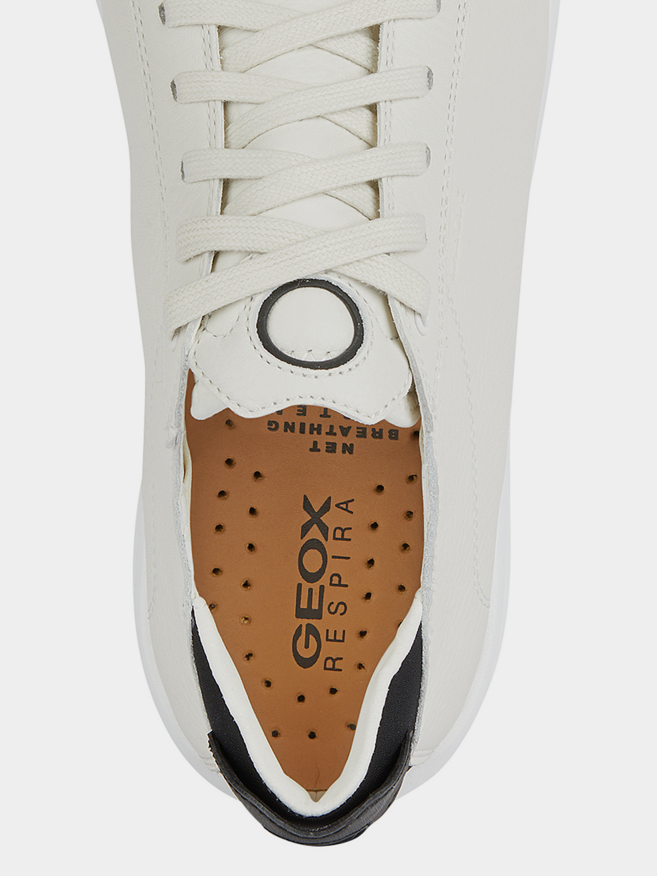 Кроссовки Geox Aerantis модель U357FA-00046-C0404 Фото