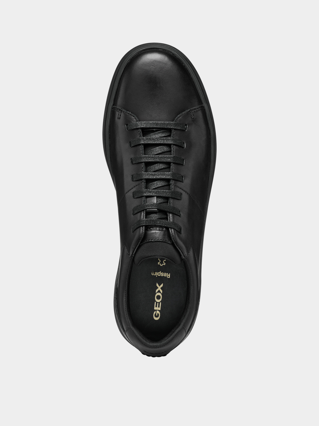 Кеды низкие Geox Baltmoore модель U55LDC-00043-C9999 Фото