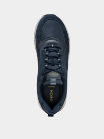 Кроссовки Geox Spherica Ecub-4 модель U46HRA-0FU22-C4002 Фото