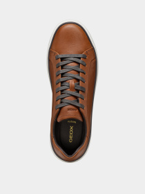 Кеды низкие Geox Zackerty модель U46HPA-000CL-C0013 Кеды низкие Geox Zackerty модель U46HPA-000CL-C0013 Фото