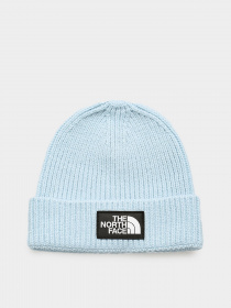 Шапка The North Face Logo Box Cuffed модель NF0A3FJX3R31 Фото