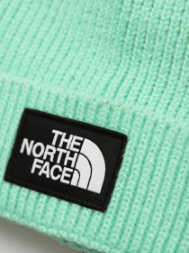 Шапка The North Face Logo Box Cuffed модель NF0A3FJX3R61 Фото