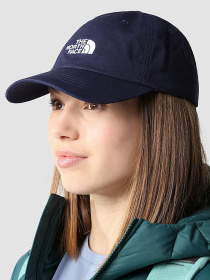 Кепка The North Face Norm Hat модель NF0A3SH38K21 Фото