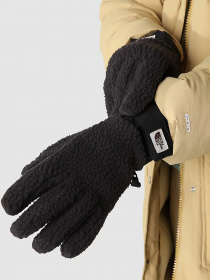 Перчатки The North Face Cragmont Fleece модель NF0A7RH4JK31 Фото