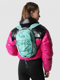 Рюкзаки The North Face Borealis Mini модель NF0A52SW8601 Рюкзаки The North Face Borealis Mini модель NF0A52SW8601 Фото
