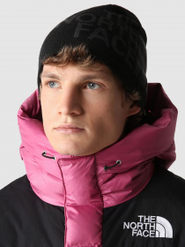 Шапка The North Face Banner Beanie модель NF00AKNDKT01 Шапка The North Face Banner Beanie модель NF00AKNDKT01 Фото