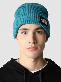 Шапка The North Face Salty Dog Beanie модель NF0A3FJW2W91 Фото