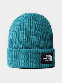Шапка The North Face Salty Dog Beanie модель NF0A3FJW2W91 Фото
