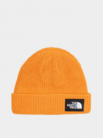 Шапка The North Face  Salty Dog модель NF0A3FJW6R21 Фото