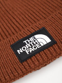 Шапка The North Face Logo Box модель NF0A3FJX6S21 Фото