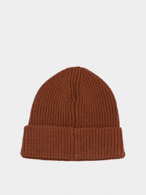 Шапка The North Face Logo Box модель NF0A3FJX6S21 Фото