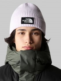 Шапка The North Face  Logo Box Cuffed Beanie модель NF0A3FJX6S11 Фото