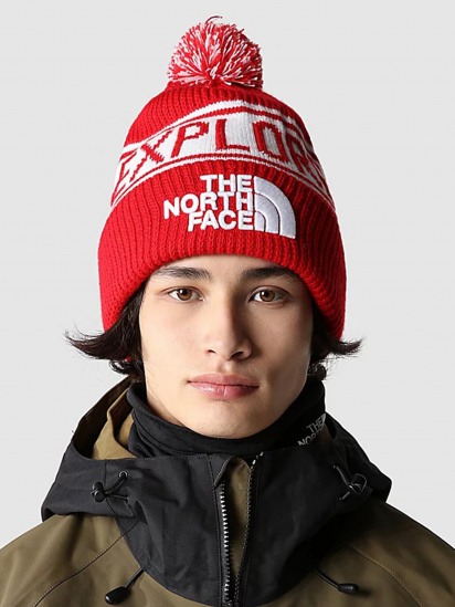 Шапка The North Face  Retro TNF™ Pom Beanie модель NF0A3FMP6821 — фото 3 - INTERTOP